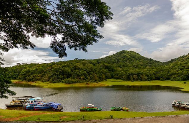 periyar-boat-safari